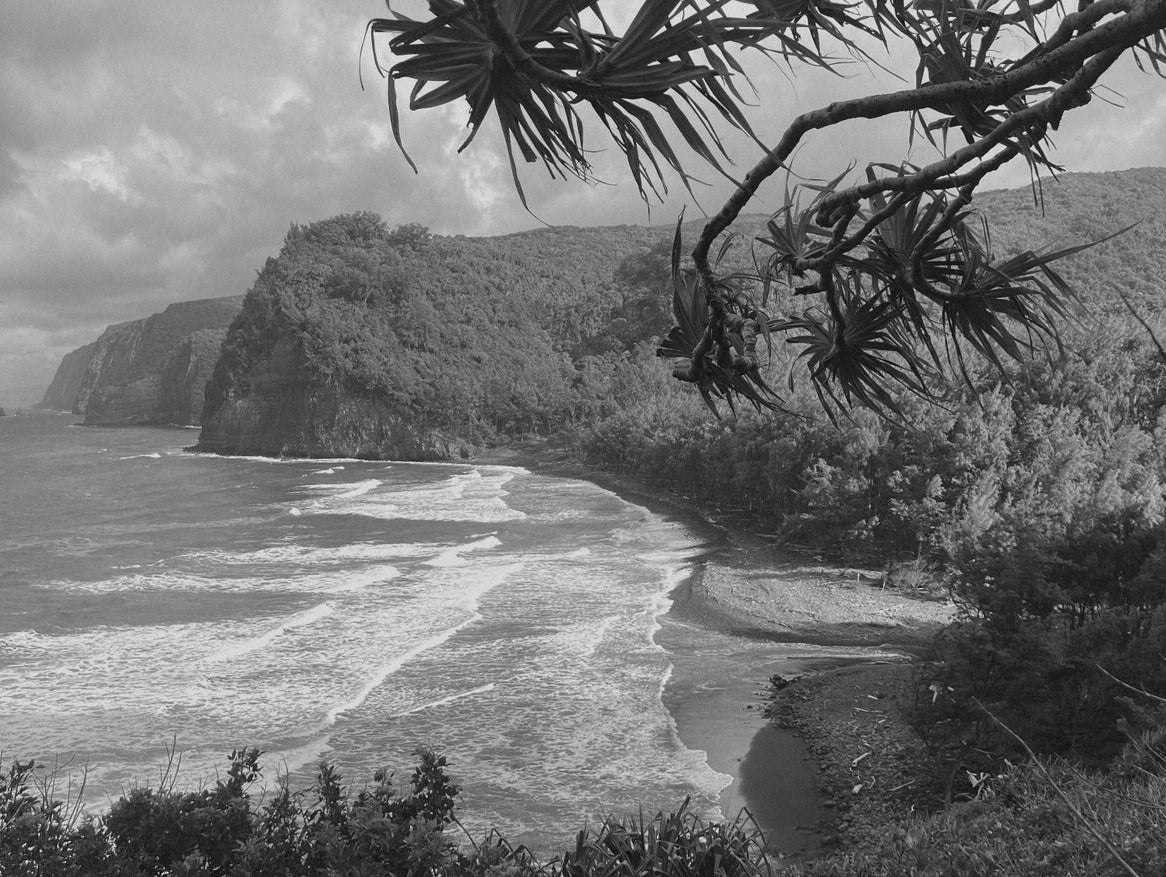 Welcome to Earth Archive