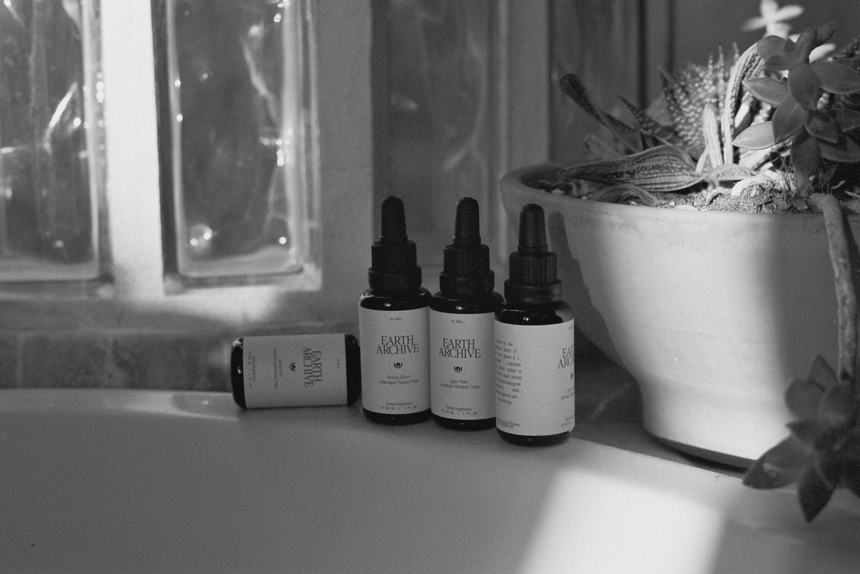 The Art of Herbal Extraction