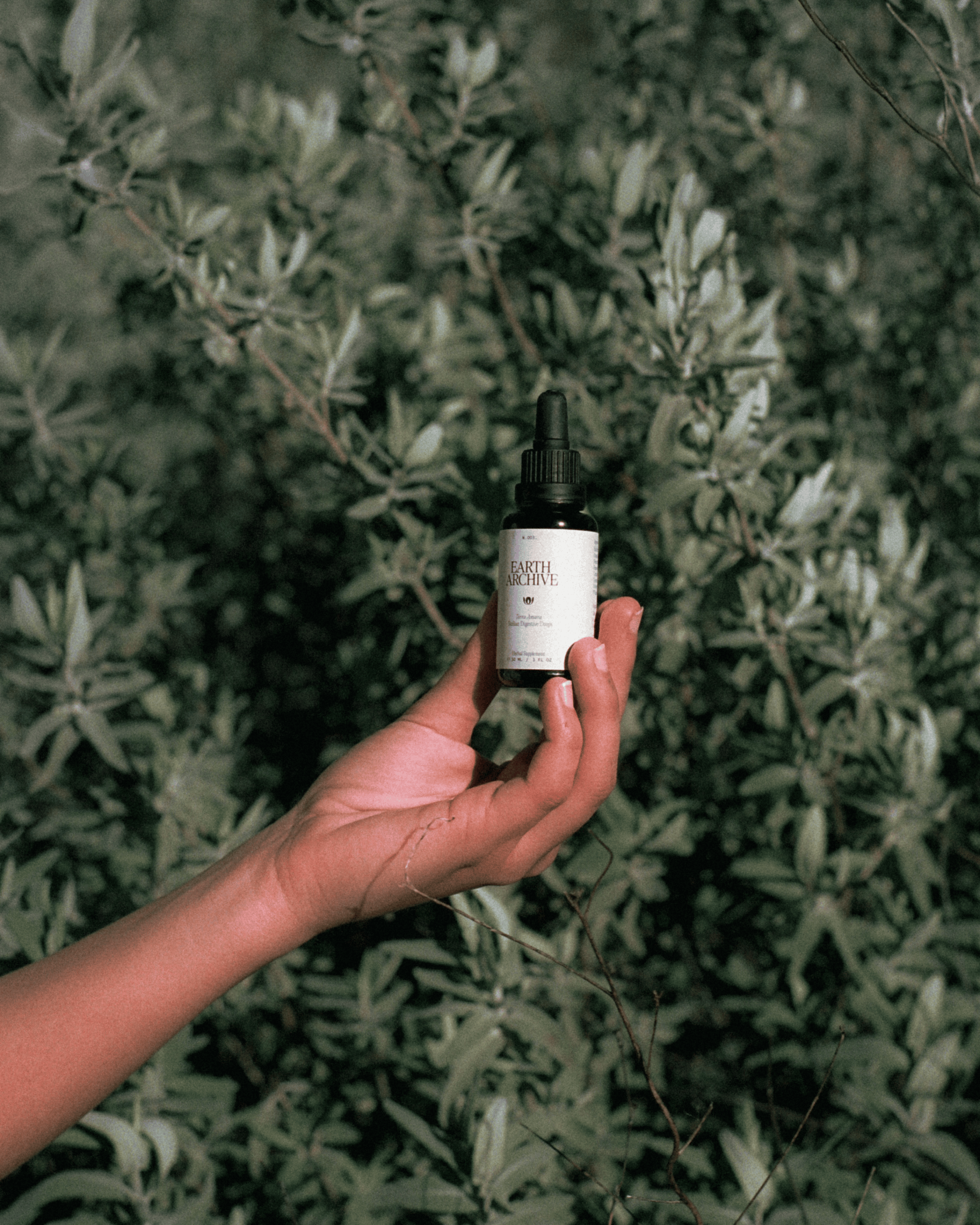 Terra Amara | Sicilian Digestive Bitters – Earth Archive Terra Amara | Sicilian Digestive Bitters – Earth Archive